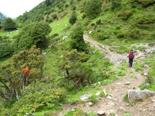 Descente vers Artigues Descente vers Artigues